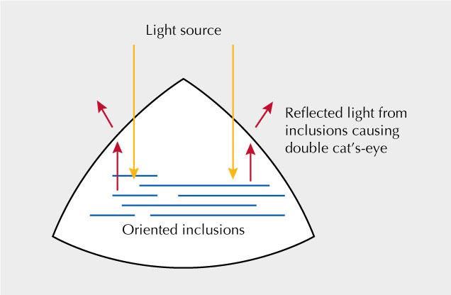 Diagrama que muestra las causas de los ojos de gato dobles.