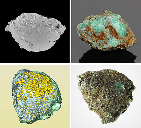 Las dos conchas fósiles muestran una estructura de concha clara y cristales de pirita dispersos, respectivamente.