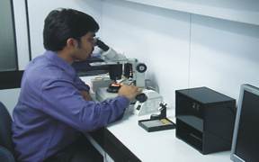 Gemólogo de laboratorio: opciones de carrera en gemología