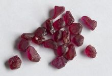 Se subastan grandes rubíes que pesan más de 1 gramo.