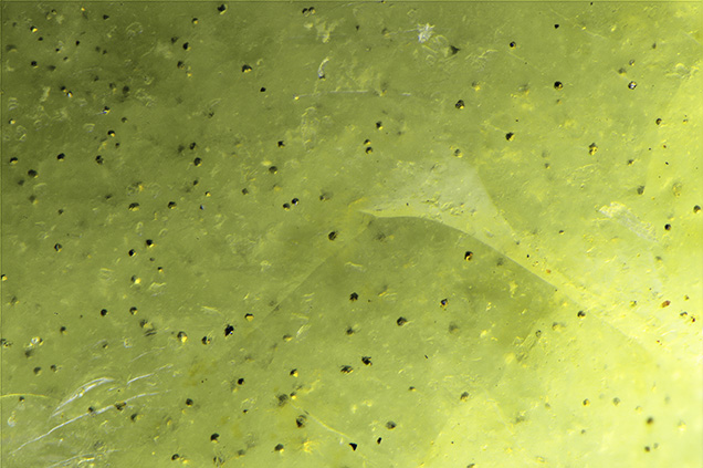 Figura 2. Inclusiones dispersas en ópalo verde identificadas como pirita por espectroscopía Raman.  Microfotografía de Nathan Renfro; campo de visión 1,79 mm.