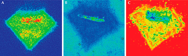 Imagen de fotoluminiscencia de inclusiones de nubes rombo.