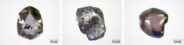 Diamantes en bruto recolectados en el Parque Estatal Crater of Diamonds.