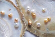 Perlas cultivadas de los mares del Sur