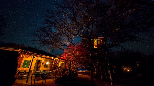 A la izquierda hay una casa pequeña y a la derecha una casa en un árbol que brilla contra el cielo estrellado.