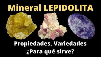 ¿Para qué sirve la lepidolita?Propiedades, Colores y Significados