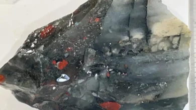 El heliotropo la piedra de la sangre