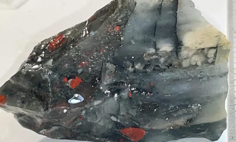 El heliotropo la piedra de la sangre